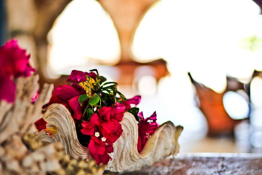 Palumbokendwa Hotel Zanzibár Kültér fotó
